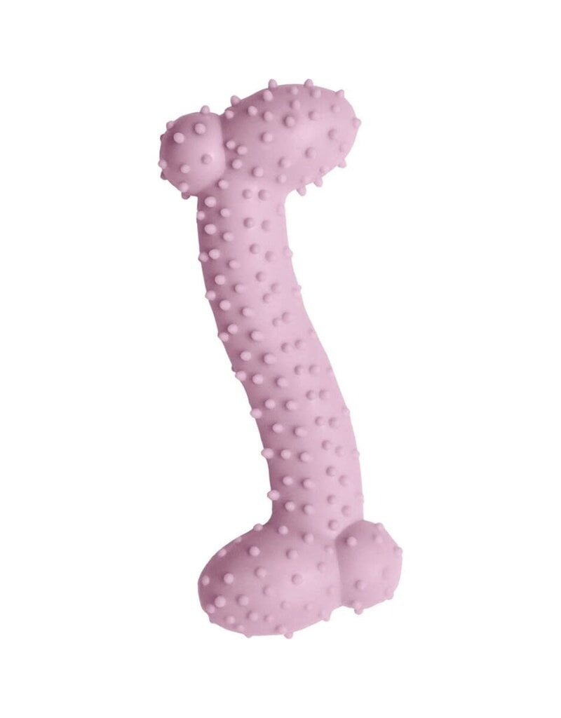Snugarooz Snugarooz Lil Baby Bone Eco TPR Dog Toy 4.25 In