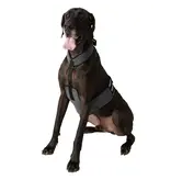 Cooler Dog Cooler Dog Cooling Vest/Collar