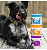 Dr Harvey Dr Harvey's Digestive Probiotic Chews PB 9.5 Oz