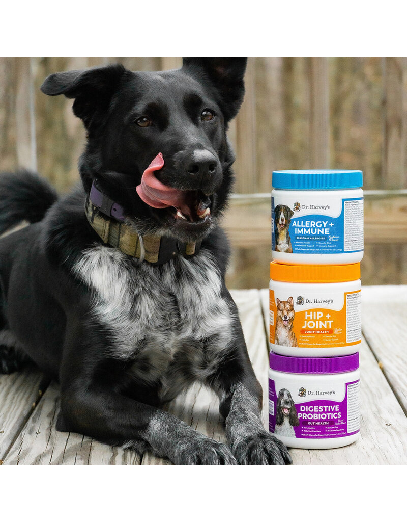 Dr Harvey Dr Harvey's Digestive Probiotic Chews PB 9.5 Oz