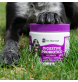 Dr Harvey Dr Harvey's Digestive Probiotic Chews PB 9.5 Oz