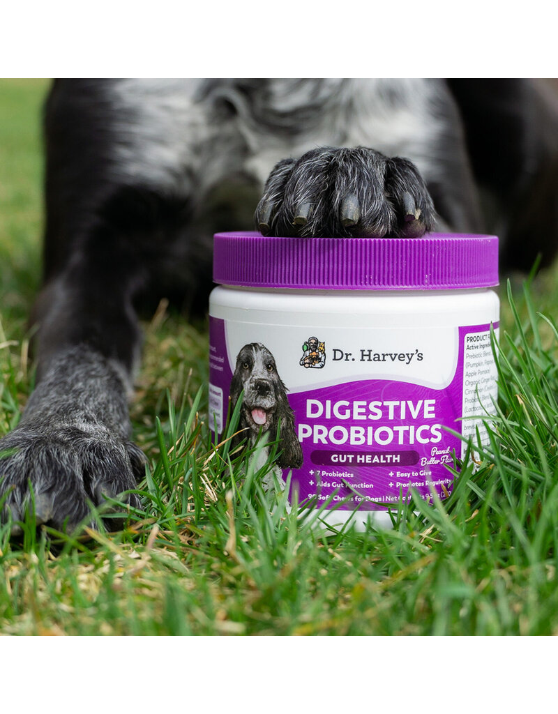 Dr Harvey Dr Harvey's Digestive Probiotic Chews PB 9.5 Oz