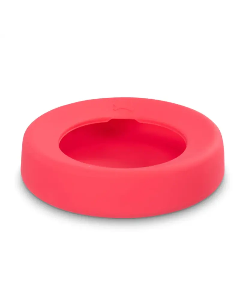 Messy Mutts Messy Mutts Silicone Non-Spill Travel Dog Bowl