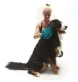 Messy Mutts Messy Mutts Microfiber Grooming Mitt Blue