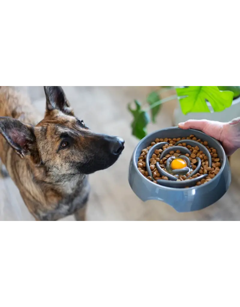 Messy Mutts Messy Mutts Dog Slow Feeder Blue 3 Cup