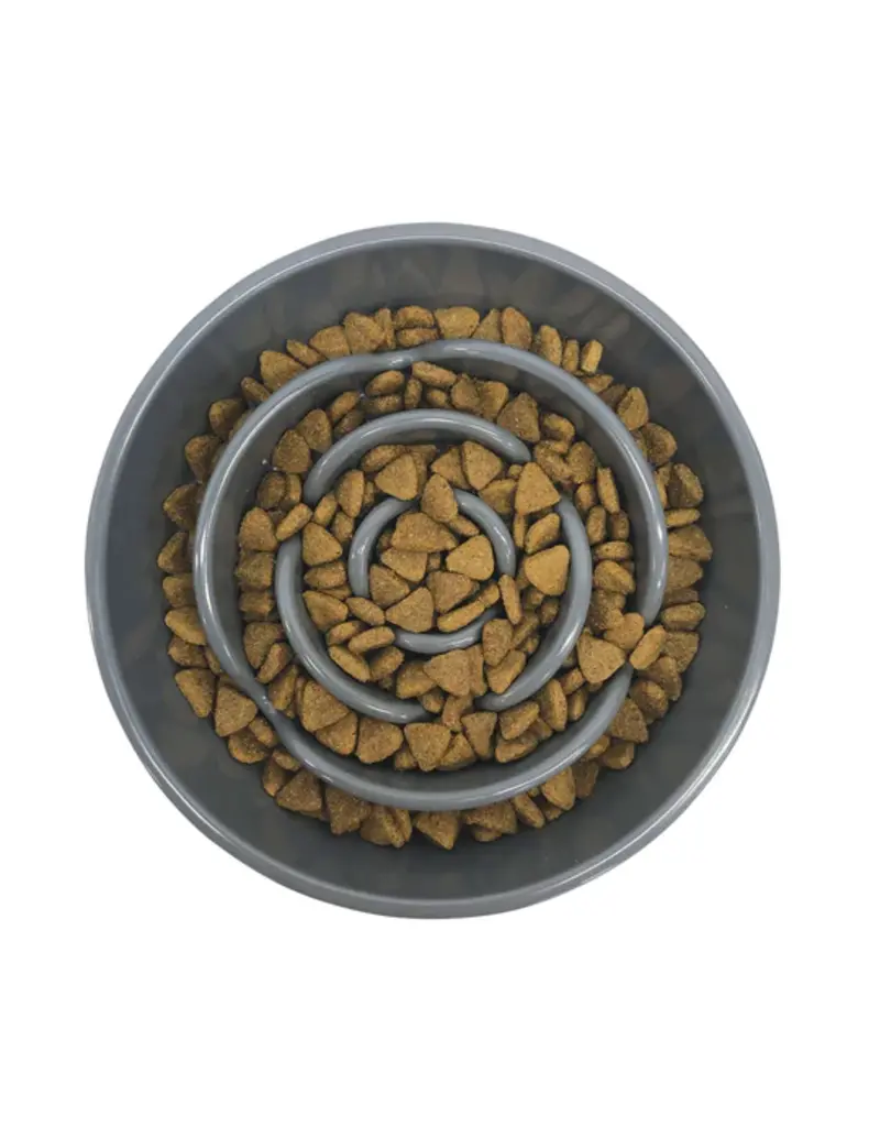 Messy Mutts Messy Mutts Dog Slow Feeder Blue 3 Cup