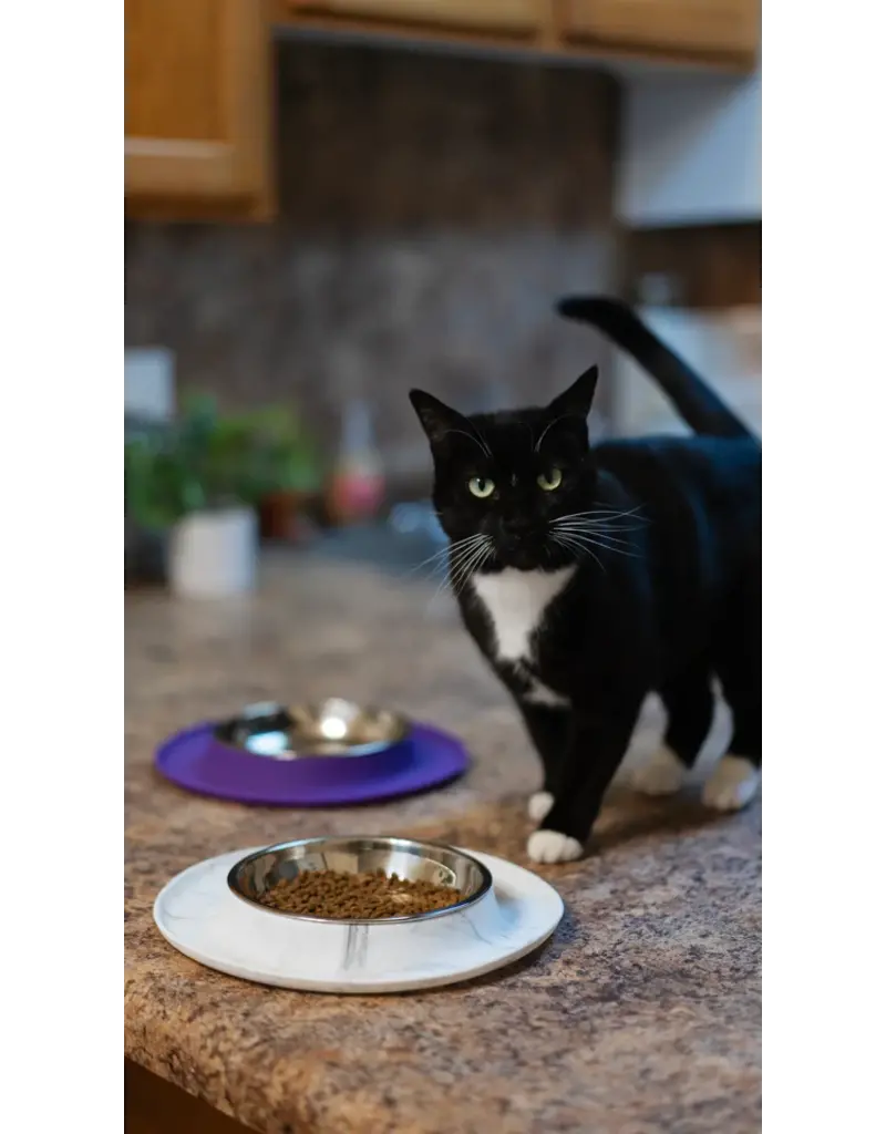 Messy Mutts Messy Cats Silicone Cat Feeder Bowl 1.75 Cups