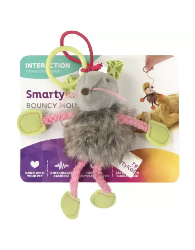 Worldwise SmartyKat Bouncy Mouse Plush Dangler Catnip Cat Toy