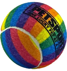 Petsport Tuff Balls Rainbow Squeak Dog Toy 4In