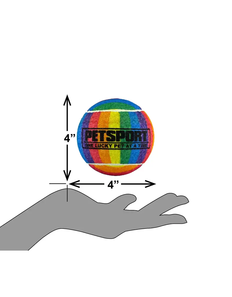 Petsport Tuff Balls Rainbow Squeak Dog Toy 4In