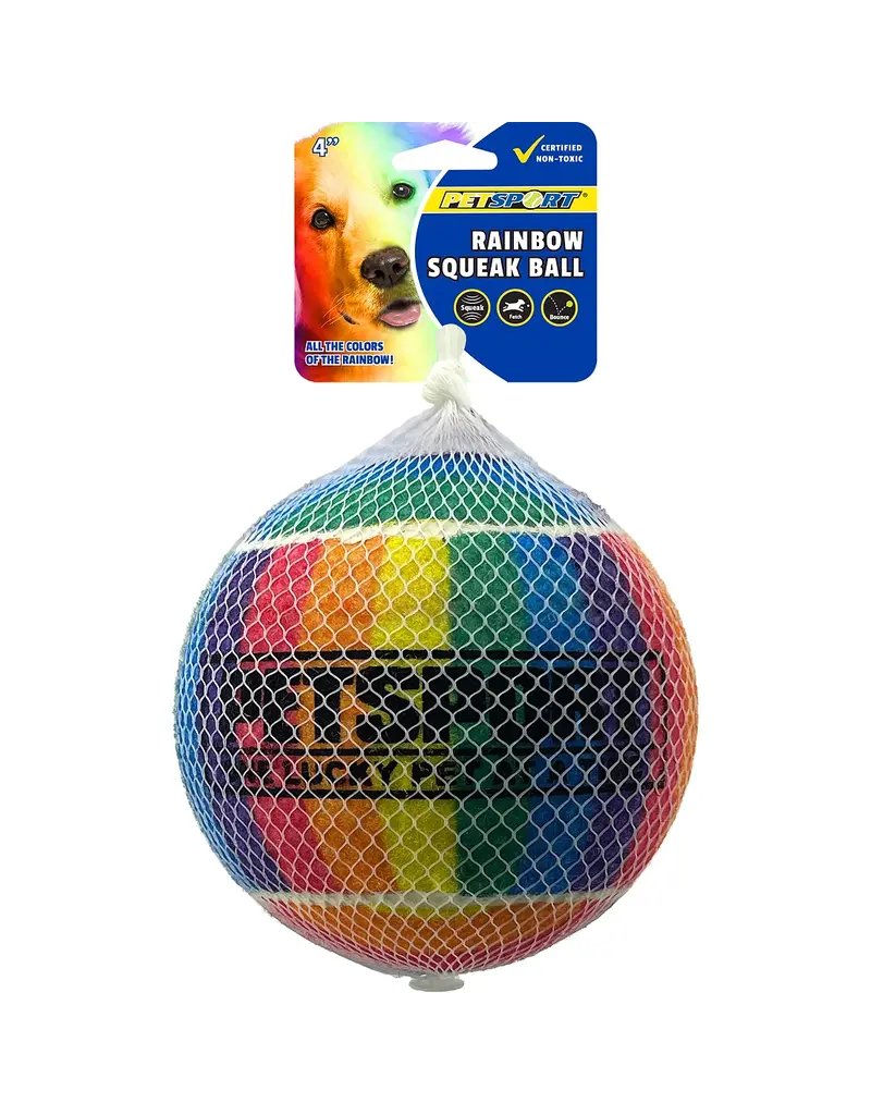 Petsport Tuff Balls Rainbow Squeak Dog Toy 4In