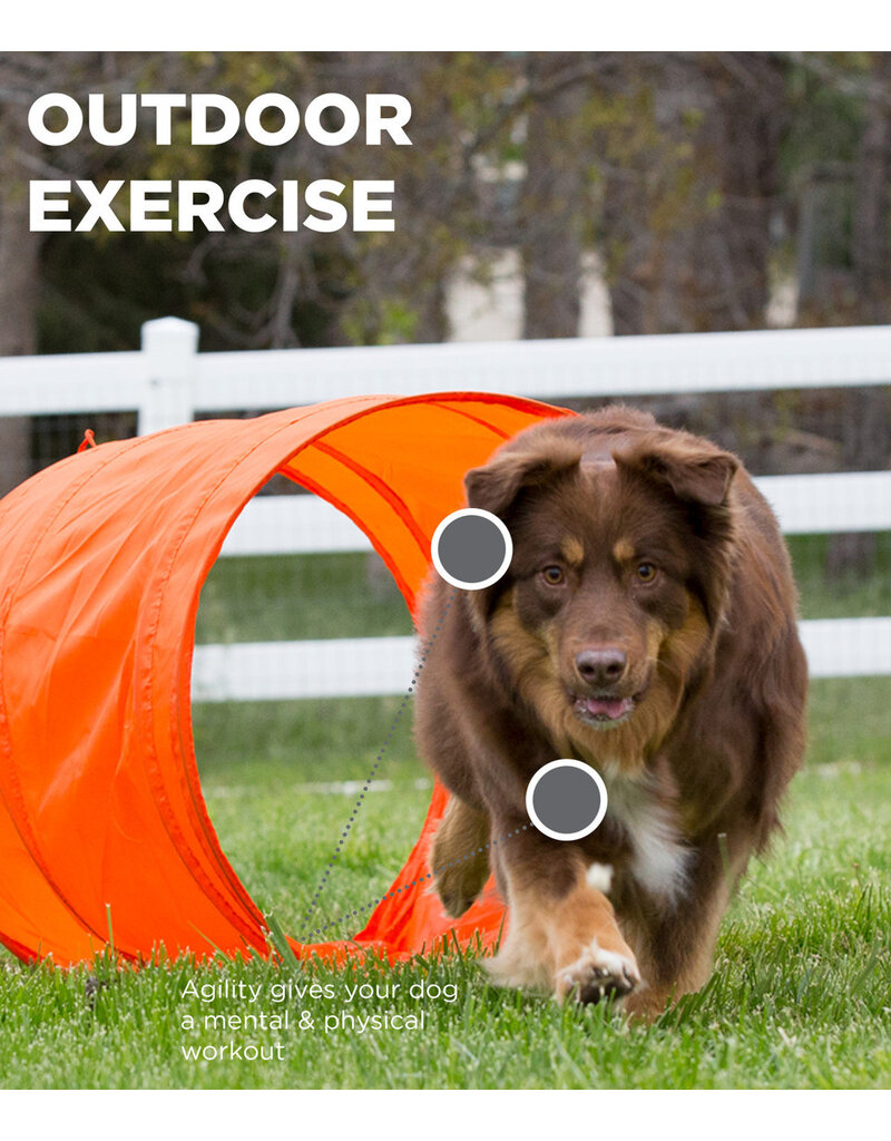 Outward Hound Outward Hound Zip and Zoom Outdoor Agility Training Kit for Dogs