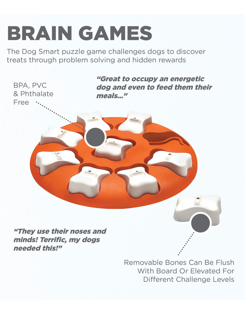 Outward Hound Outward Hound Dog Smart Interactive Treat Puzzle Dog Toy