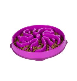 Outward Hound Outward Hound Fun Feeder Slo-Bowl Purple Lg