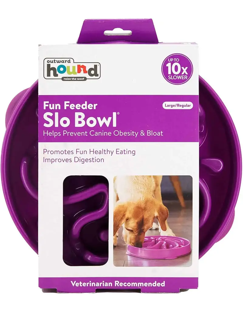 Outward Hound Outward Hound Fun Feeder Slo-Bowl Purple Lg