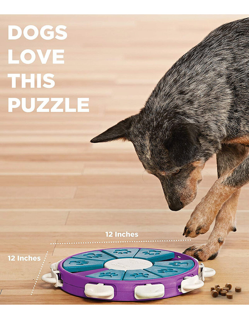 Outward Hound Outward Hound Twister Dog Puzzle Level 3