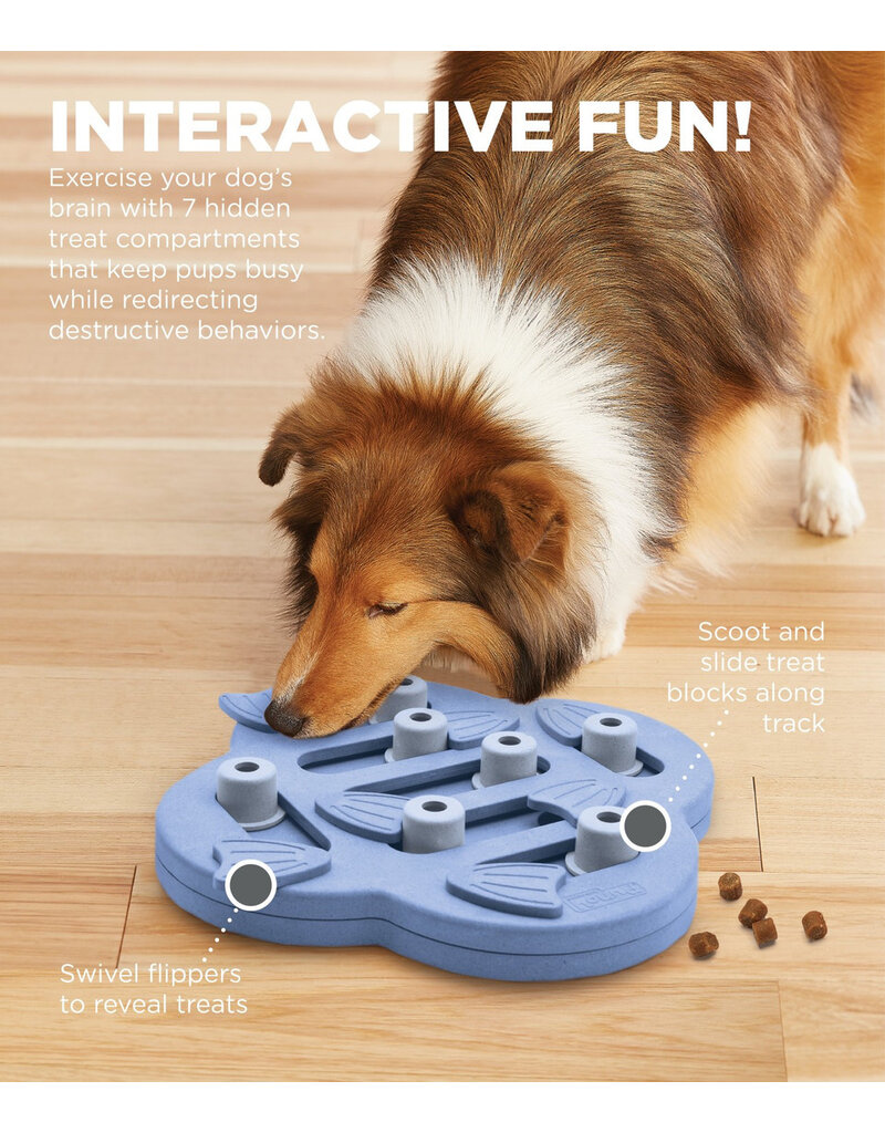 Outward Hound Outward Hound Hide N Slide Interactive Treat Puzzle Level 2 for Dogs