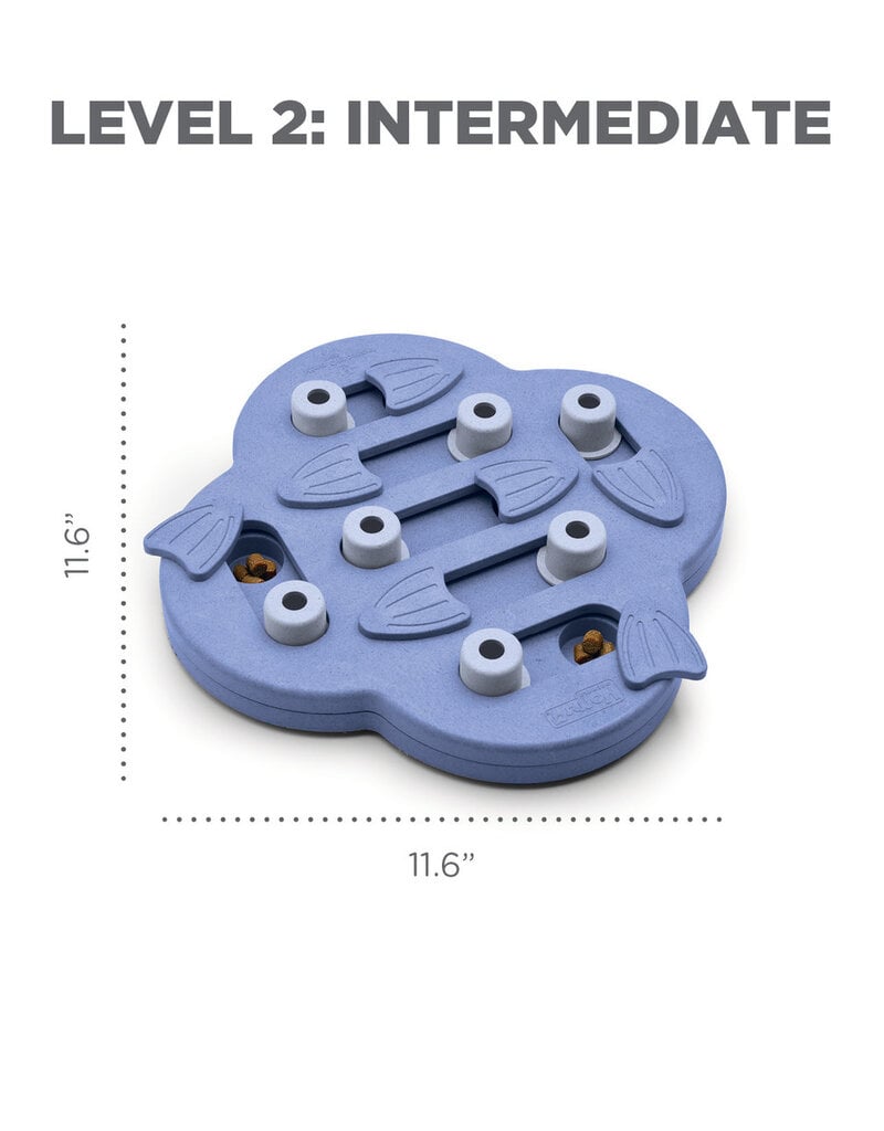 Outward Hound Outward Hound Hide N Slide Interactive Treat Puzzle Level 2 for Dogs