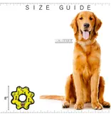 VIP Products Tuffy's Durable Squeaky Soft Jr Gear Ring Dog Toy