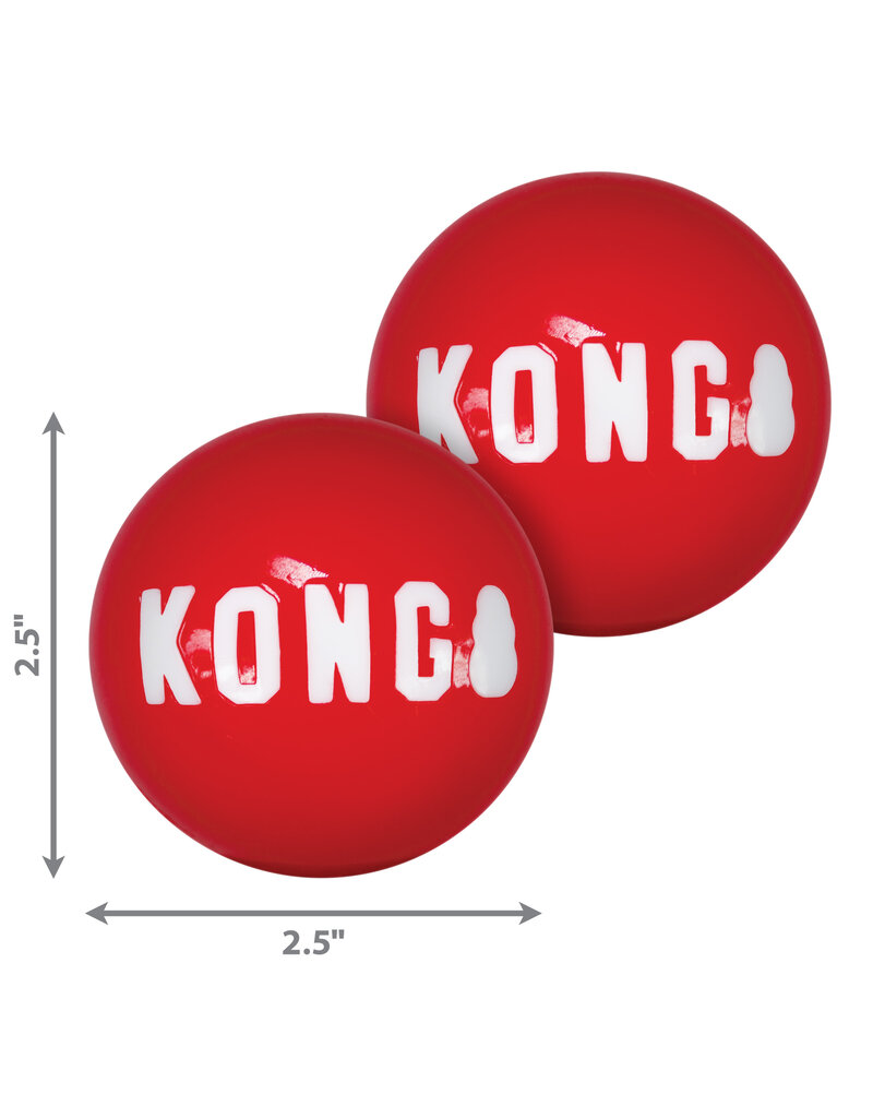 Kong Signature Balls 2pk Noah's Ark