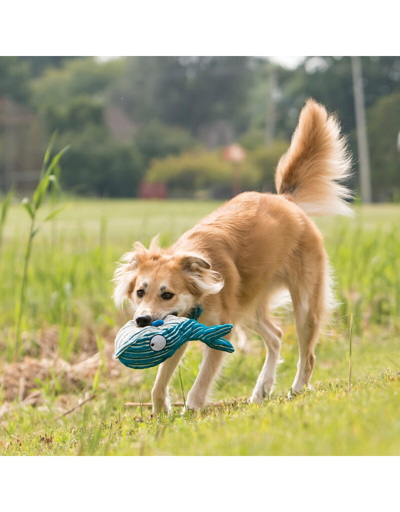 Kong Company Kong Cuteseas Whale Dog Toy Blue Large