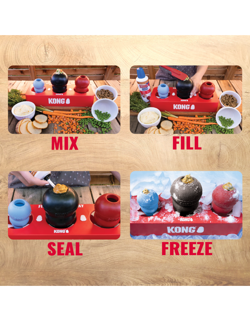 Kong Company Kong Fill n Freeze Tray