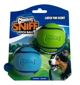 Chuck It! Chuckit! Sniff Fetch Ball Duo