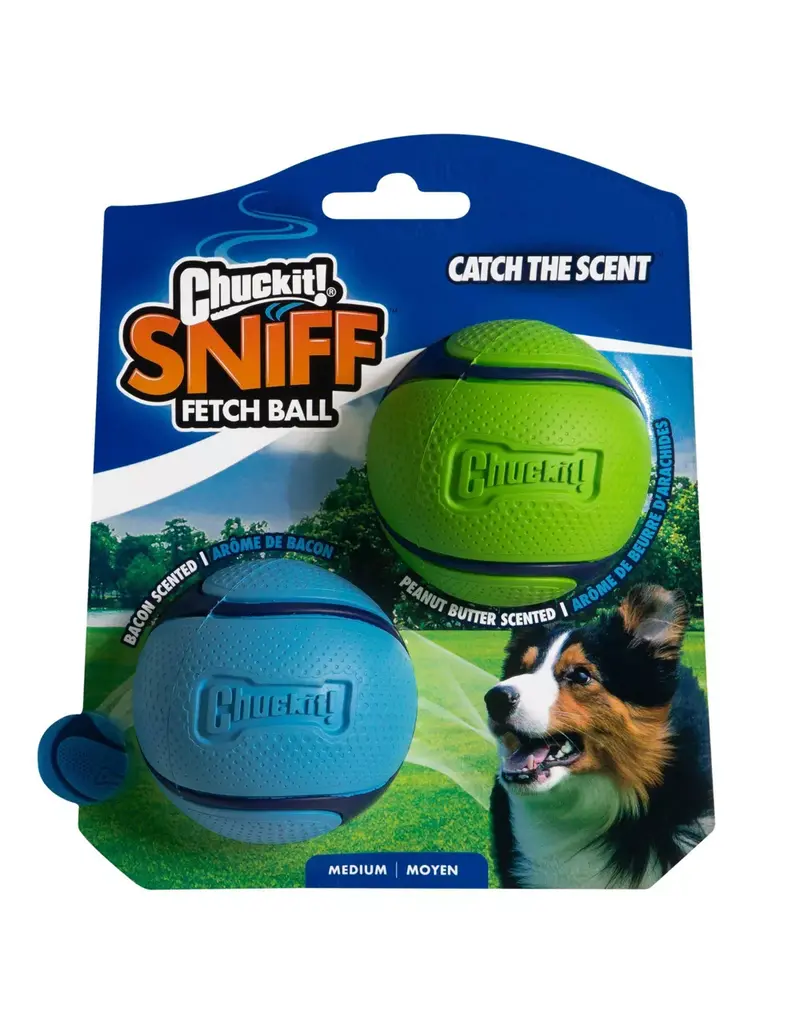 Chuck It! Chuckit! Sniff Fetch Ball Duo