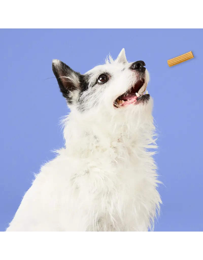 Project Hive Project Hive  Chew Stick Peanut Butter Dog Treat 7 Oz