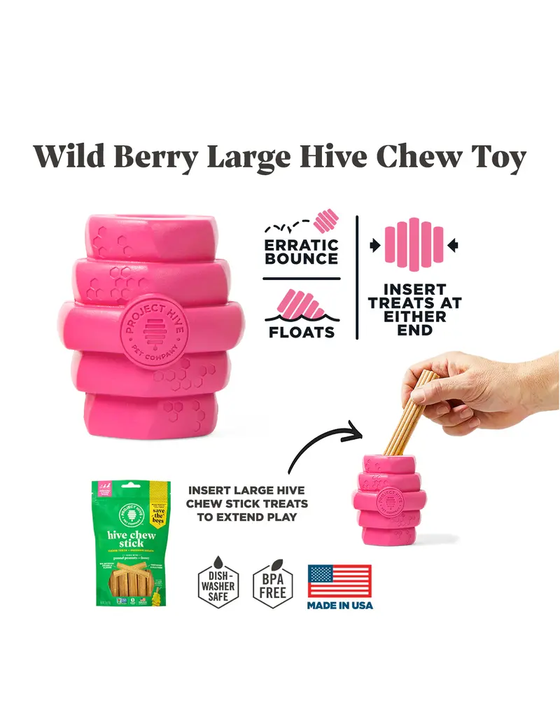 Project Hive Project Hive Scented Dog Chew Toy Large