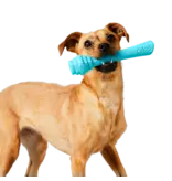 Project Hive Project Hive Scented Fetch Stick Dog Toy