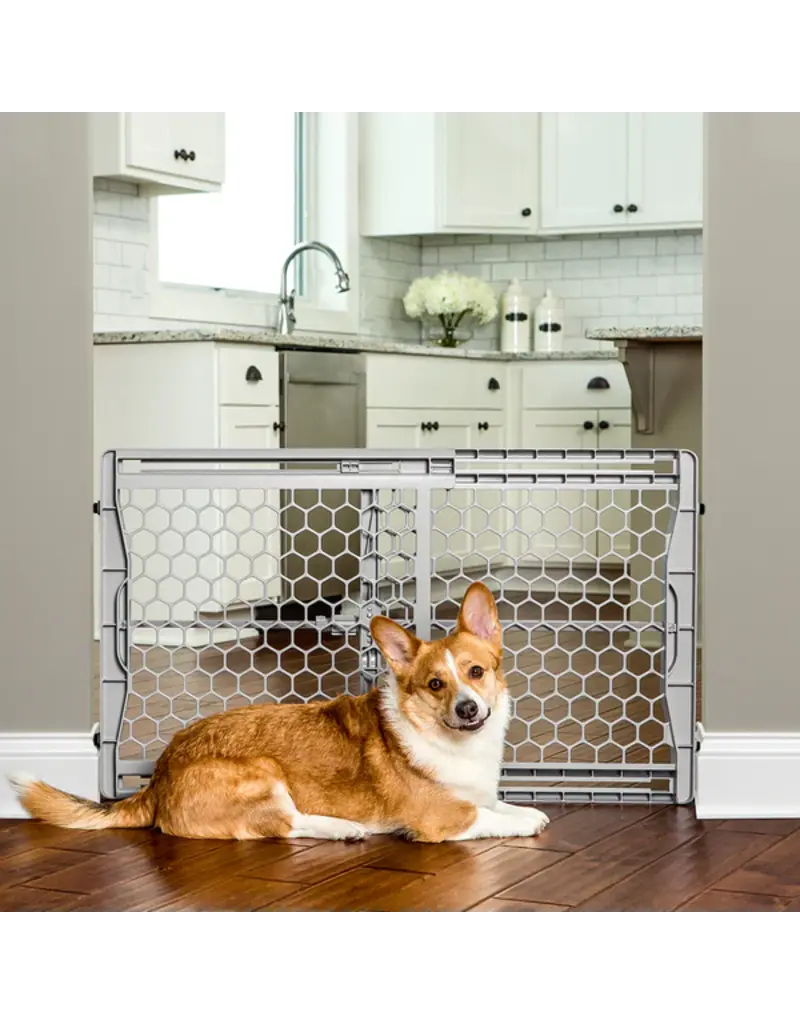 Carlson Pet Carlson Pet Plastic Expandable Pet Gate 28-42W x 23H