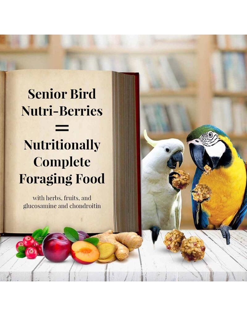 Lafeber Lafeber Company Senior Bird Nutri-Berries for Macaws and Cockatoos 10 oz