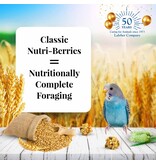 Lafeber Lafeber Company Classic Nutri-Berries for Parakeets