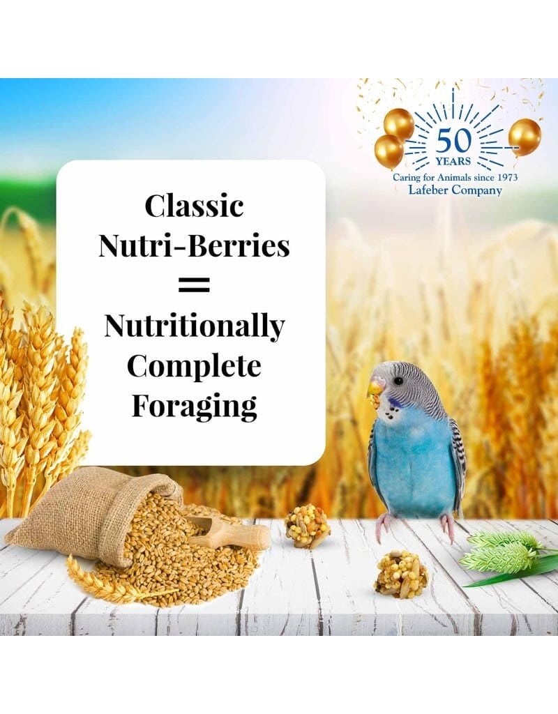 Lafeber Lafeber Company Classic Nutri-Berries for Parakeets