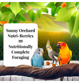 Lafeber Lafeber Company Sunny Orchard Nutri-Berries for Cockatiels 10 Oz