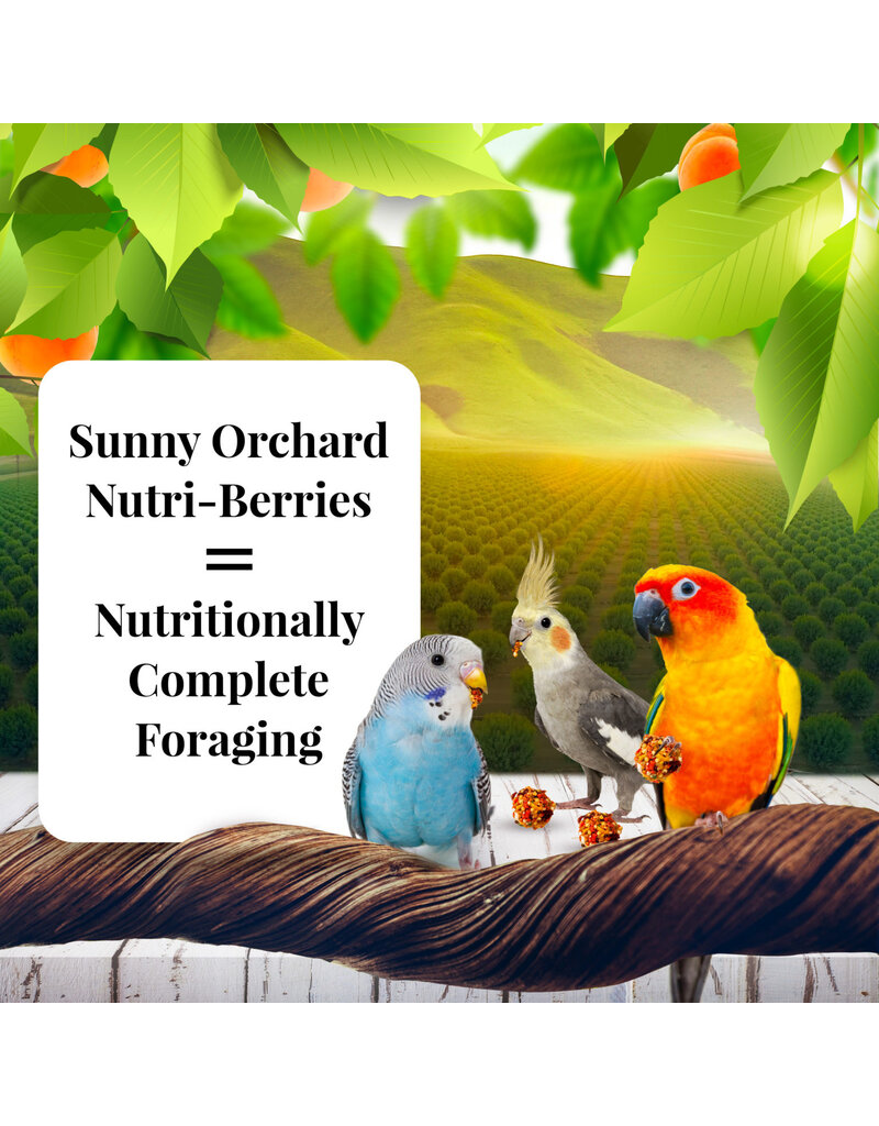 Lafeber Lafeber Company Sunny Orchard Nutri-Berries for Cockatiels 10 Oz
