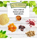 Lafeber Lafeber Company Sunny Orchard Nutri-Berries for Cockatiels 10 Oz