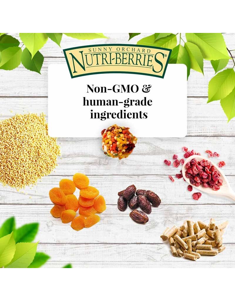 Lafeber Lafeber Company Sunny Orchard Nutri-Berries for Cockatiels 10 Oz