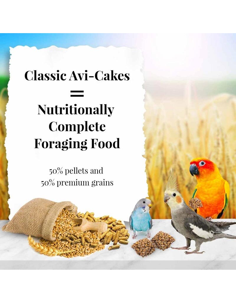 Lafeber Lafeber Company Avi-Cakes for Small Birds 8 Oz