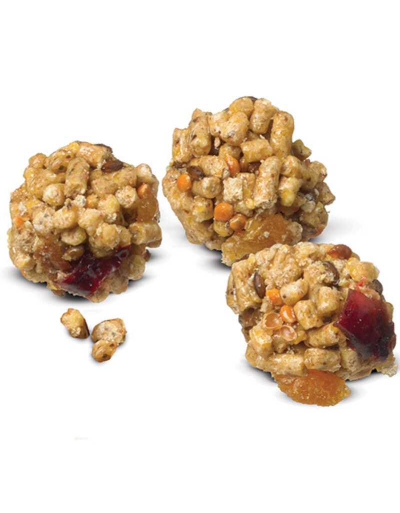 Lafeber Lafeber Company Pellet-Berries for Parrots 10 oz