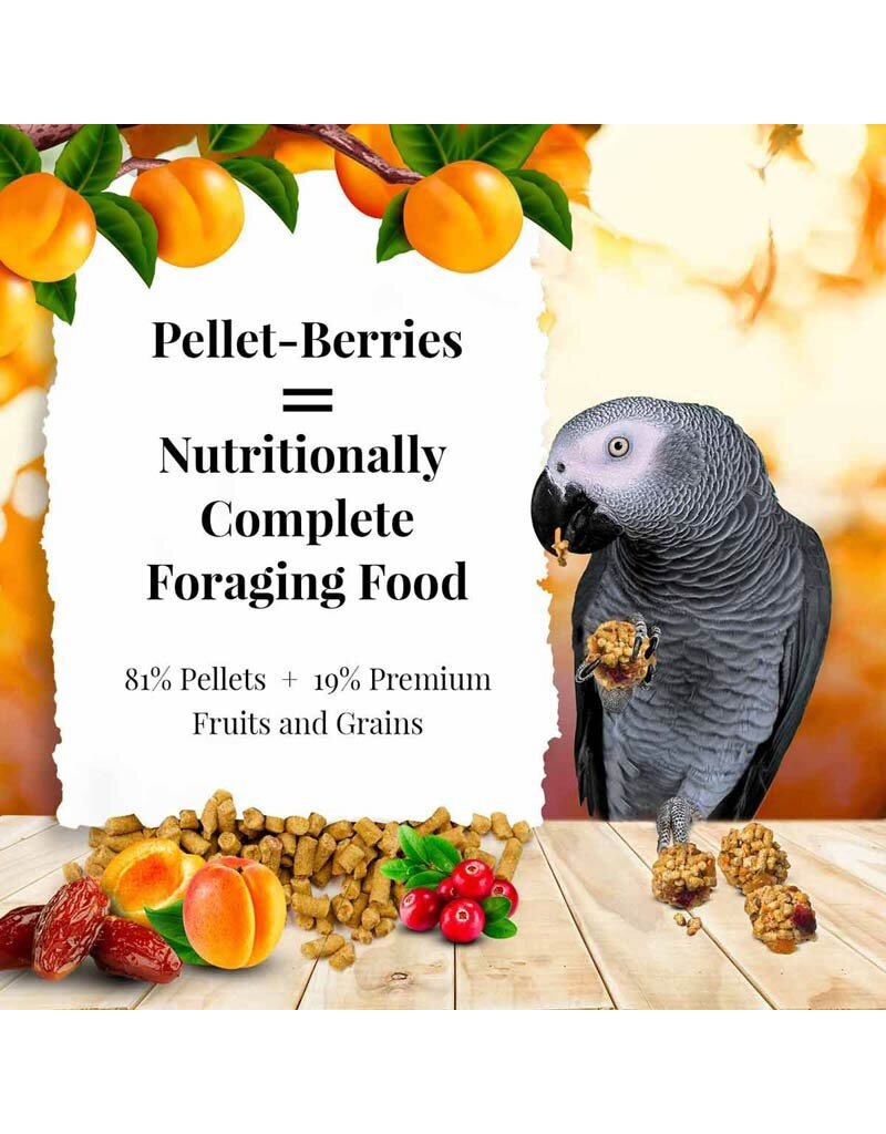 Lafeber Lafeber Company Pellet-Berries for Parrots 10 oz