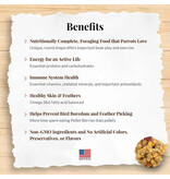 Lafeber Lafeber Company Pellet-Berries for Parrots 10 oz