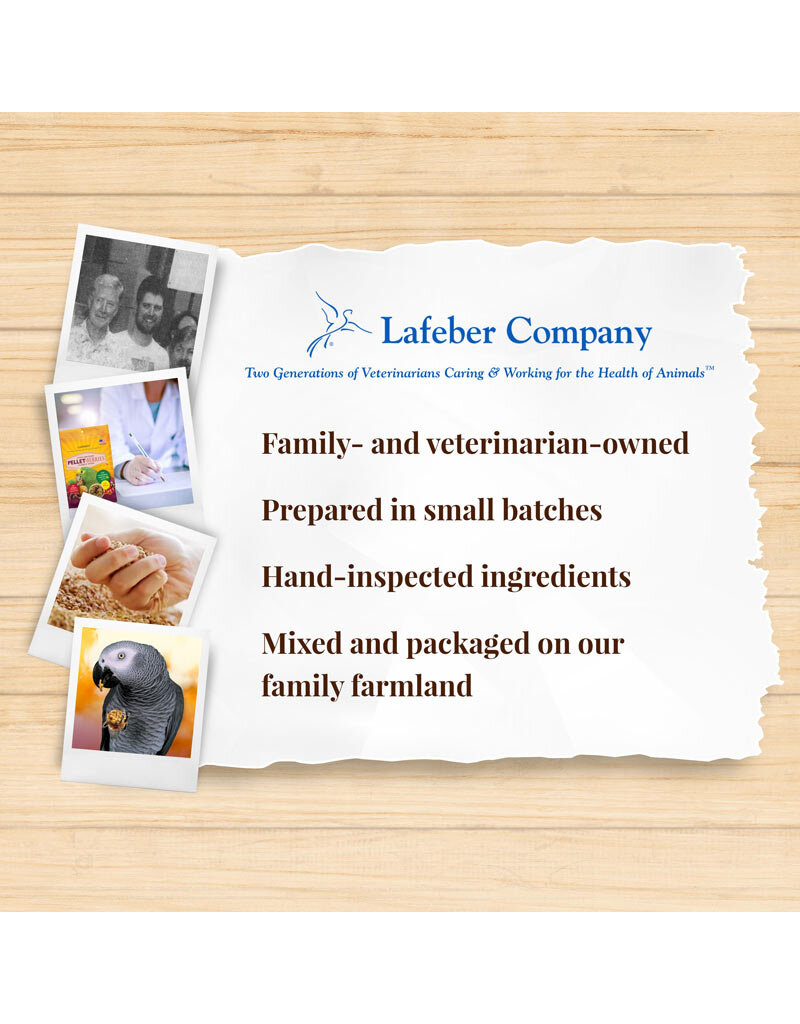 Lafeber Lafeber Company Pellet-Berries for Parrots 10 oz