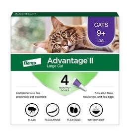 Advantage II Advantage II Flea Treatment Topical for Cats Over 9 Lb 4 Pk