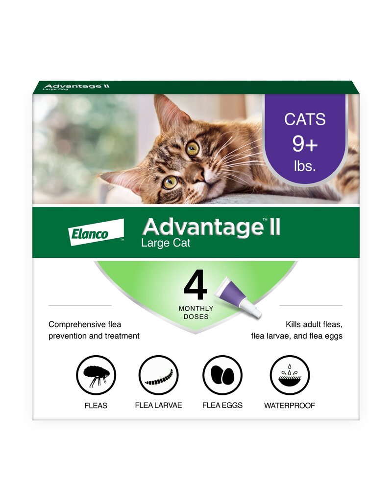 Advantage II Advantage II Flea Treatment Topical for Cats Over 9 Lb 4 Pk