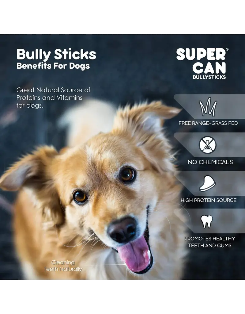 Super Can Super Can Bully Sticks Jumbo 12 In