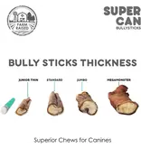 Super Can Super Can Bully Sticks Jumbo 6 In