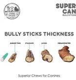 Super Can Supercan Bully Sticks Standard 12 In