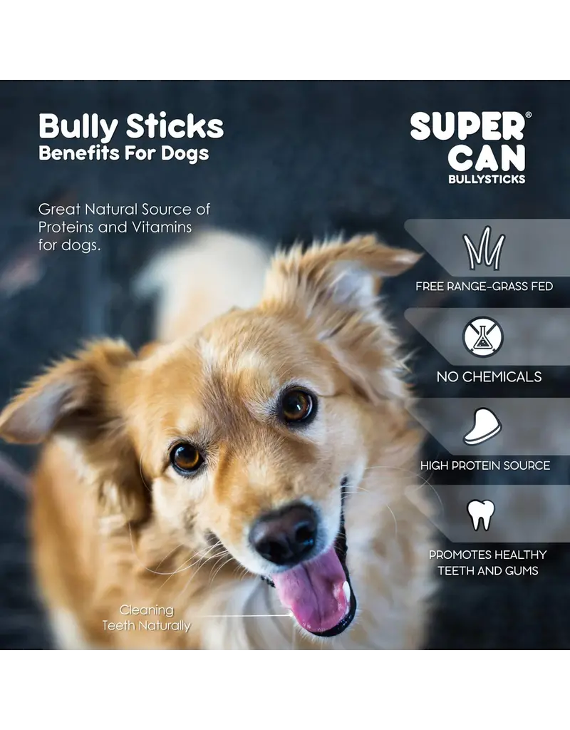 Super Can Super Can Bully Sticks Standard 12 In